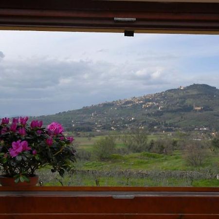 Maison d'hôtes La Finestra Su Cortone Extérieur photo