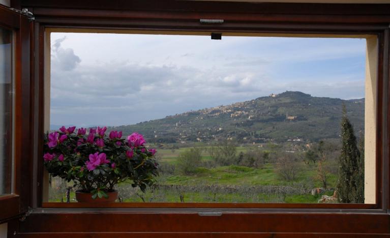 Maison d'hôtes La Finestra Su Cortone Extérieur photo